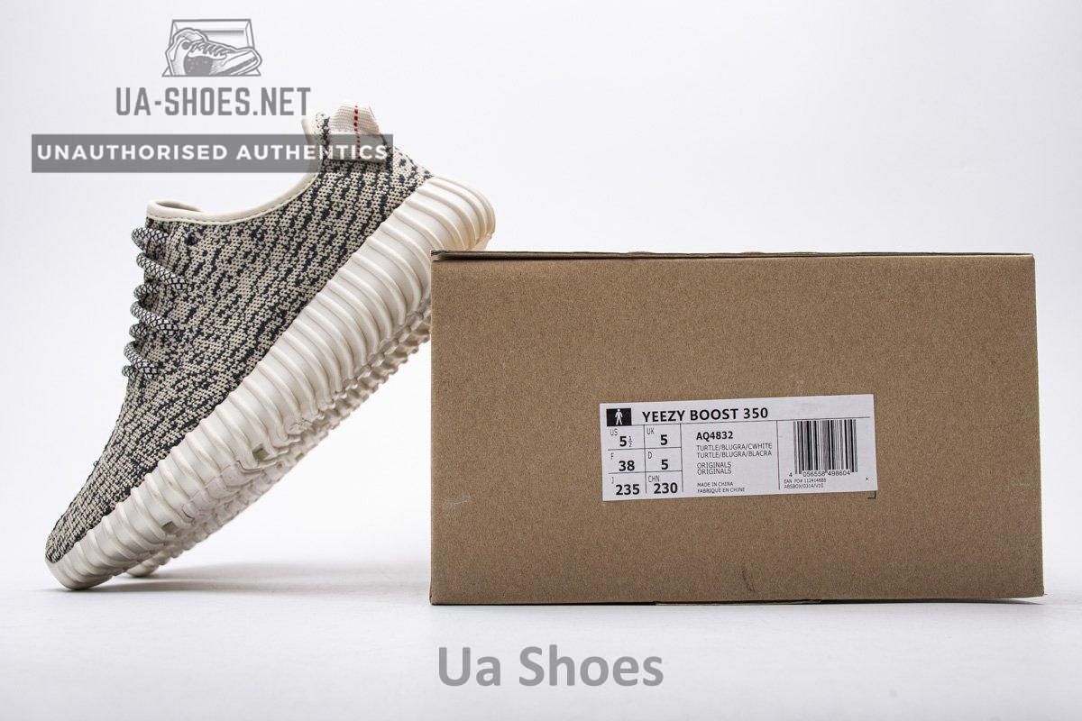 AQ4832 adidas Yeezy Boost 350 Turtle Dove Basf Boost - Image 2