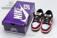 BQ6817-600 Nike SB Dunk Low Pro "Chicago" - Image 11