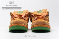 CJ5378-800 Grateful Dead x Nike SB Dunk Low Pro QS“ Orange Bear” - Image 10